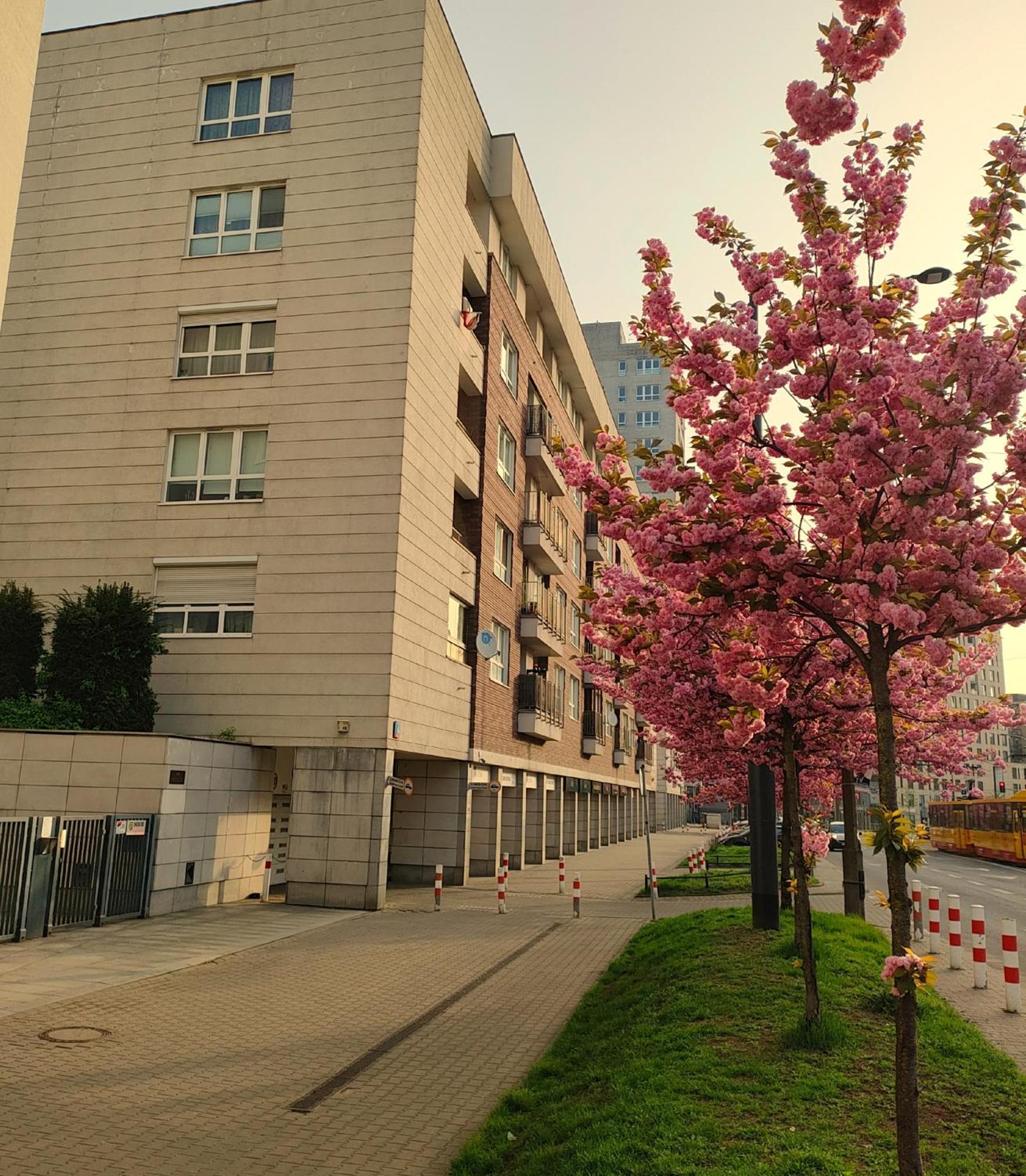 Totutotam Studio Warszawa Zewnętrze zdjęcie